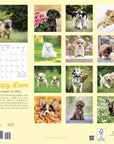 puppy-love-2024-wall-calendar