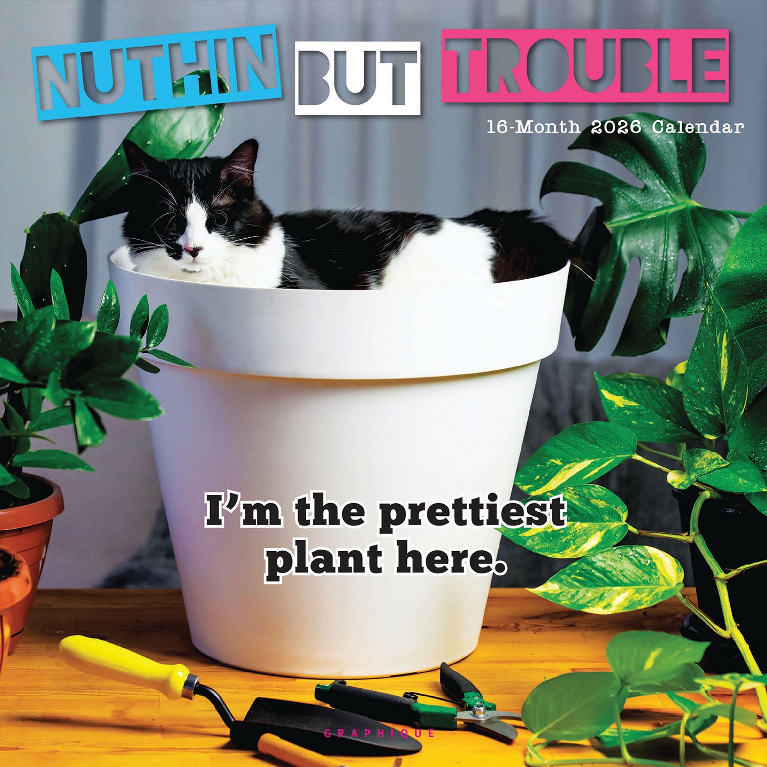 Nuthin' But Trouble Wall Calendar 2026 | Bookazine HK
