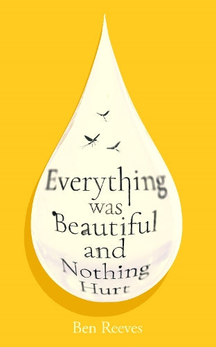Everything was Beautiful and Nothing Hurt: ‘Incredible... I guarantee it will completely alter the way you view the world’ Joanna Cannon