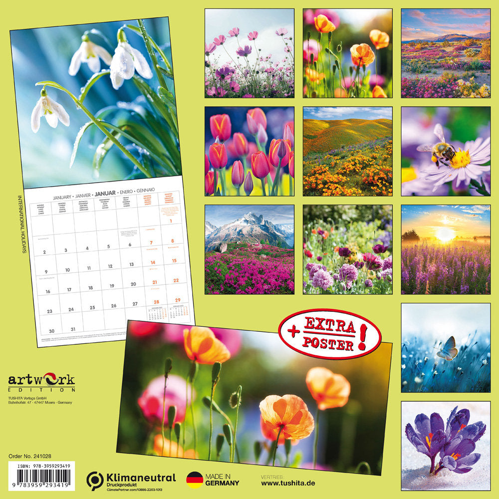 Flowers From The Fields 2024 Wall Calendar Bookazine HK   9783959293419 13 