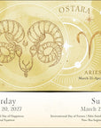 Year of The Witch 2027 Box Calendar