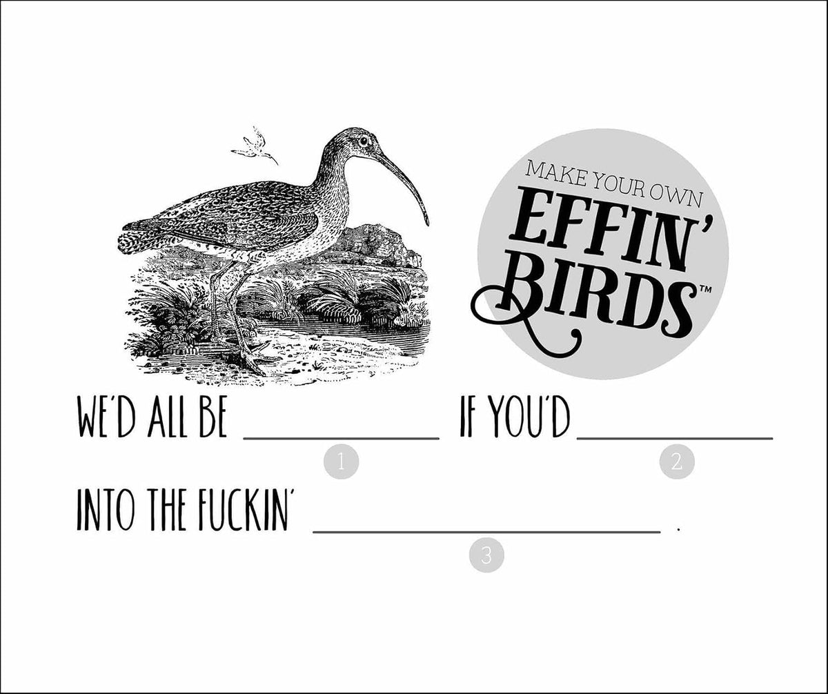 Effin' Birds 2027 Day-to-Day Calendar