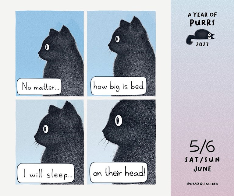 A Year of Purrs 2027 Box Calendar