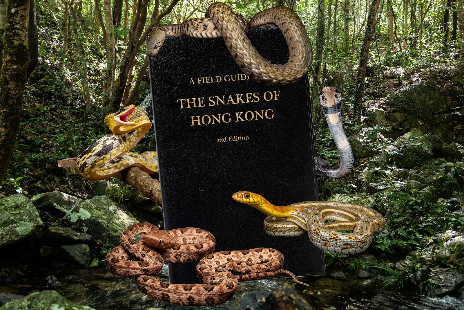 A Field Guide to The Snakes of Hong Kong 2nd Edition | Bookazine HK