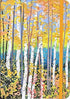 Aspen Forest Journal | Bookazine HK