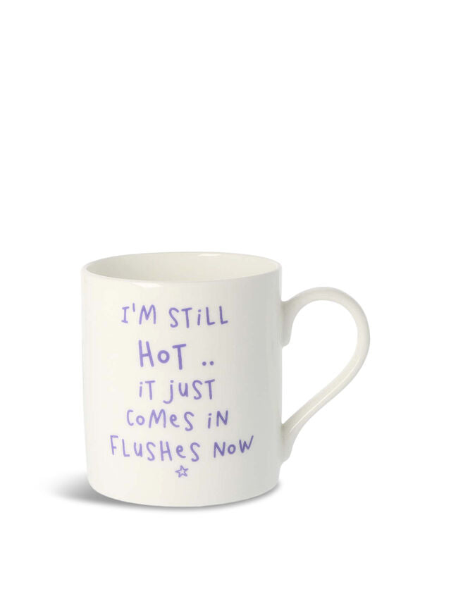 Hot Flushes Mug 300Ml | Bookazine HK