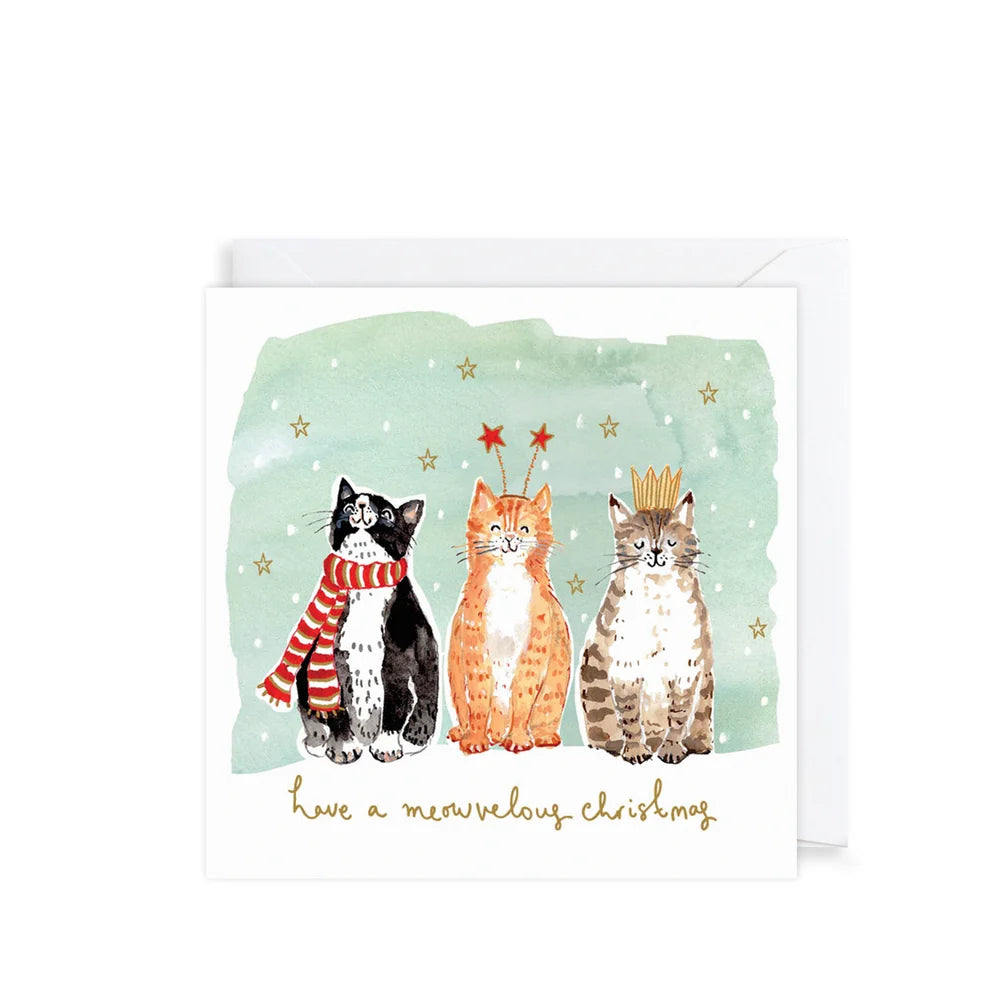 Christmas Cards Pets Cats Dogs 10 Pack