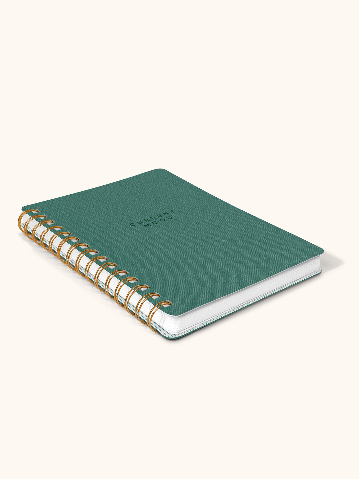 Current Mood Hunter Green Agatha Notebook