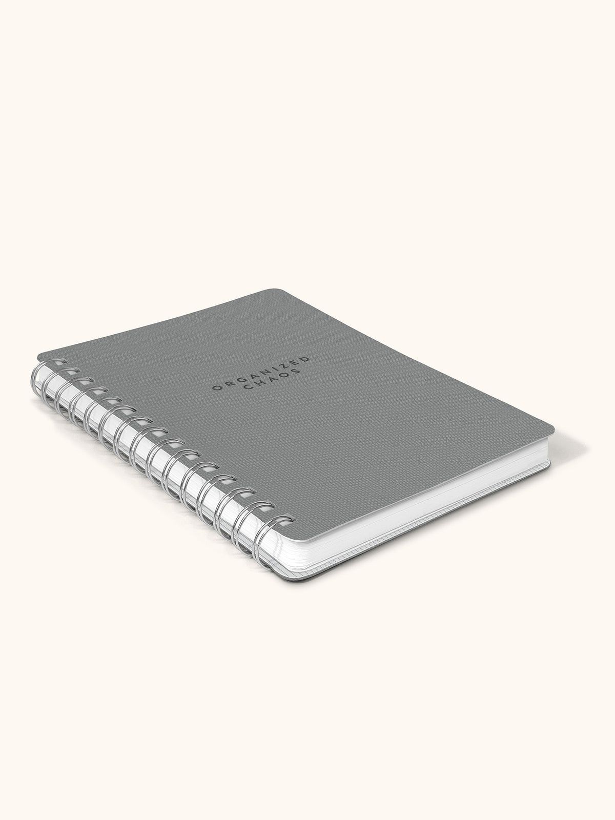 Organized Chaos Gorgeous Gray Agatha Notebook