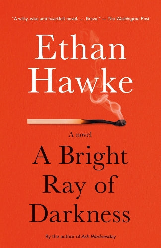 A Bright Ray of Darkness: A novel