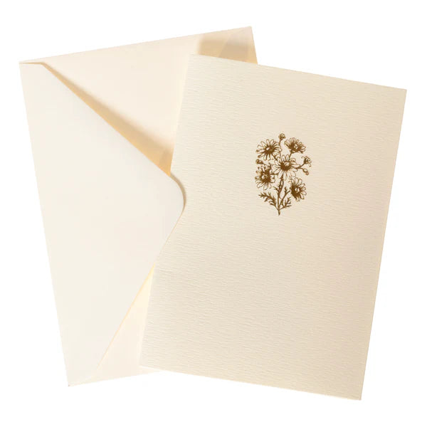 Blank Boxed Cards Chamomile La Petite Presse 10Ct | Bookazine HK