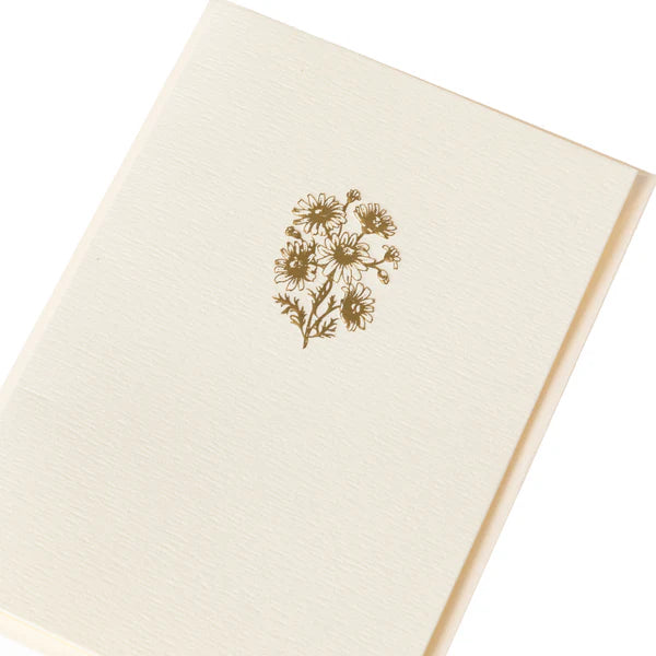 Blank Boxed Cards Chamomile La Petite Presse 10Ct | Bookazine HK