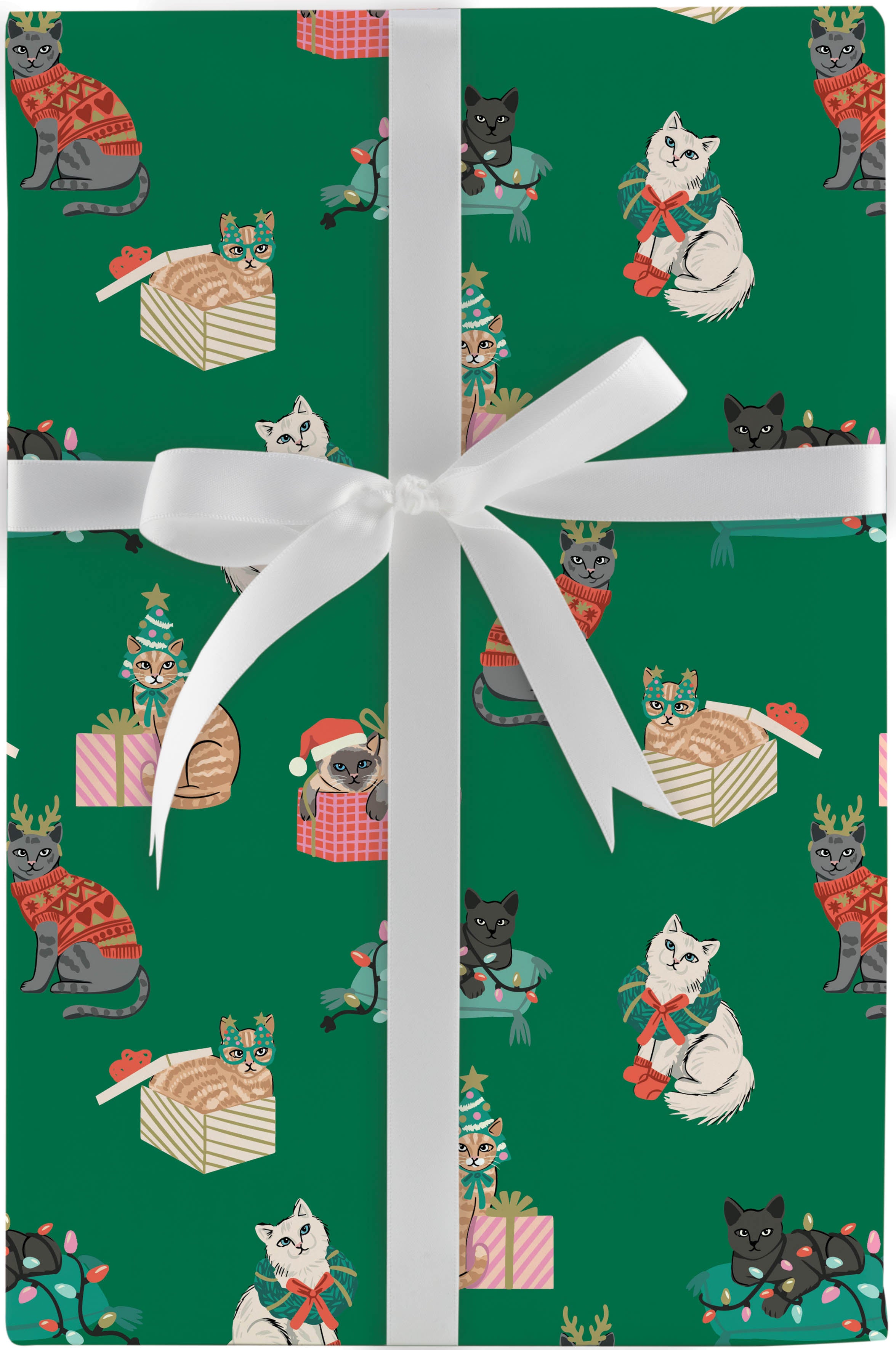 Cozy Catmas Jumbo Gift Wrap 10ft | Bookazine HK