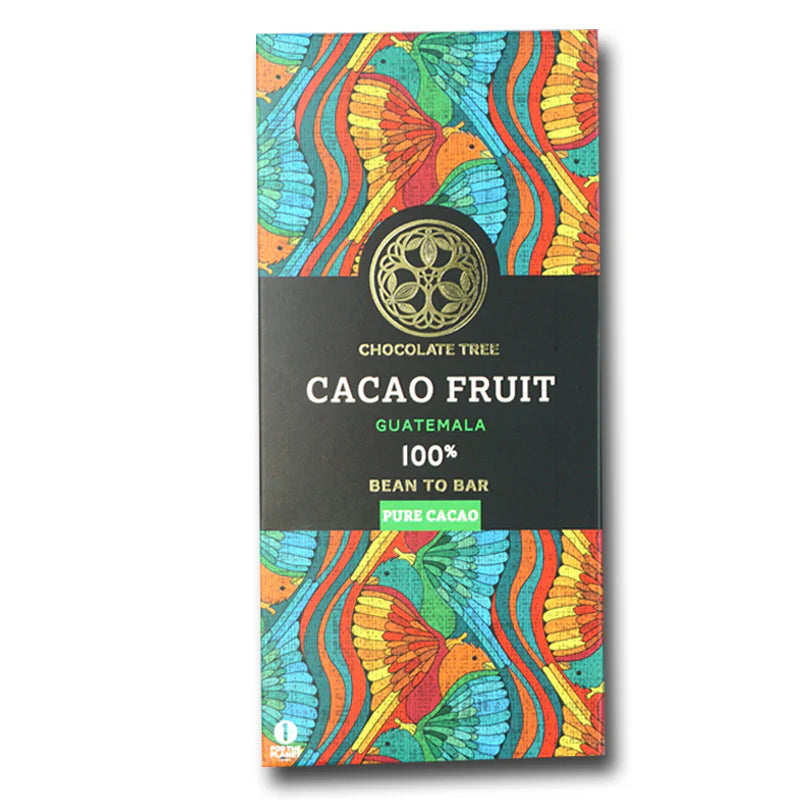 Chocolate Tree - Cacao Fruit 100% 70G | Bookazine HK