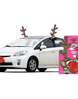 Christmas Car Kit Glitzy Reindeer