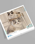 Cat Monthly Wall Calendar 2026
