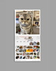 Cat Monthly Wall Calendar 2026