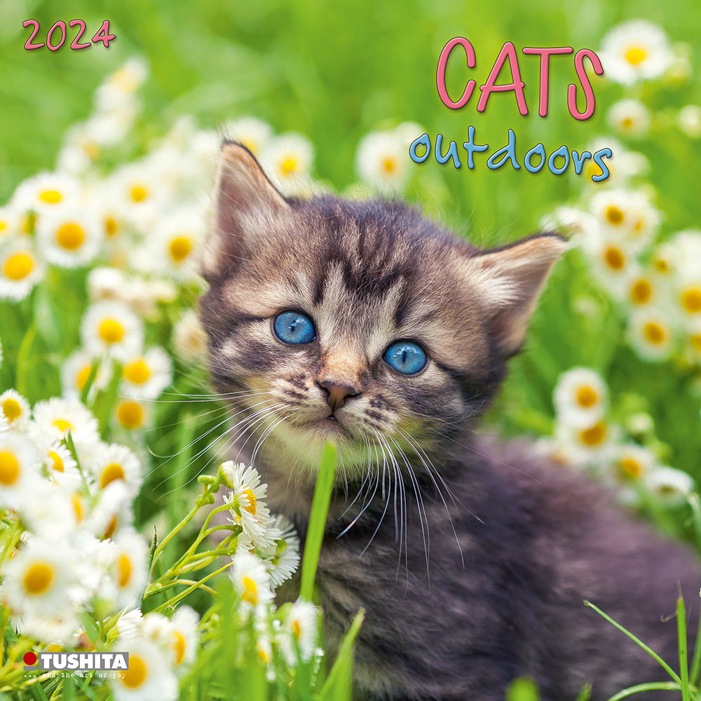 cats-outdoors-2024-wall-calendar
