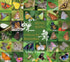 Hong Kong A Haven For Butterflies | Bookazine HK