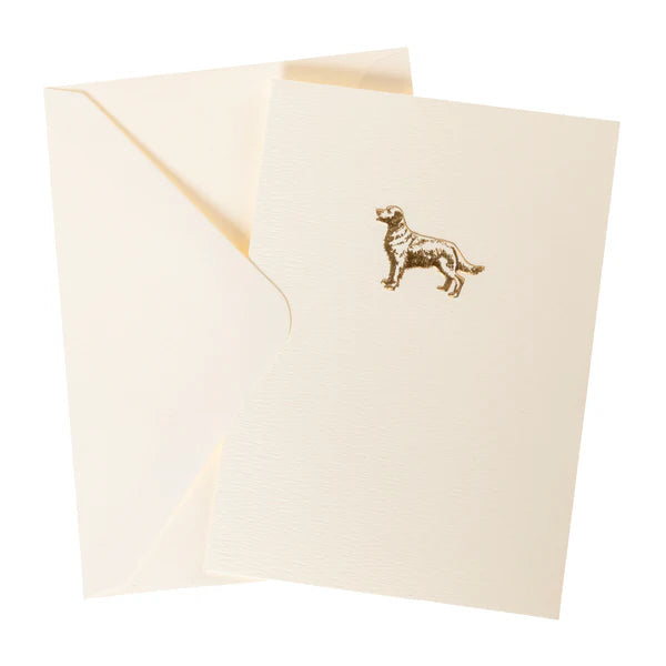 Golden Retriever La Petite Presseâ Blank Boxed Cards  10Ct | Bookazine HK