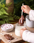 Gruffalo Hot Chocolate Stirrer 30G