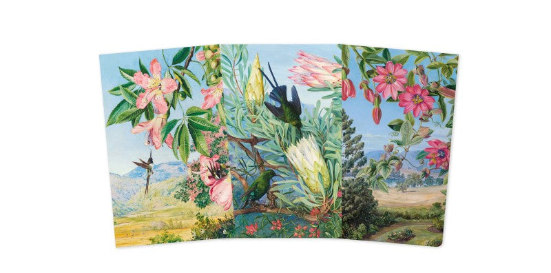 Kew Gardens: Marianne North Set of 3 Mini Notebooks