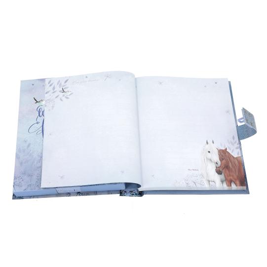 Miss Melody Diary With Code &amp; Sound