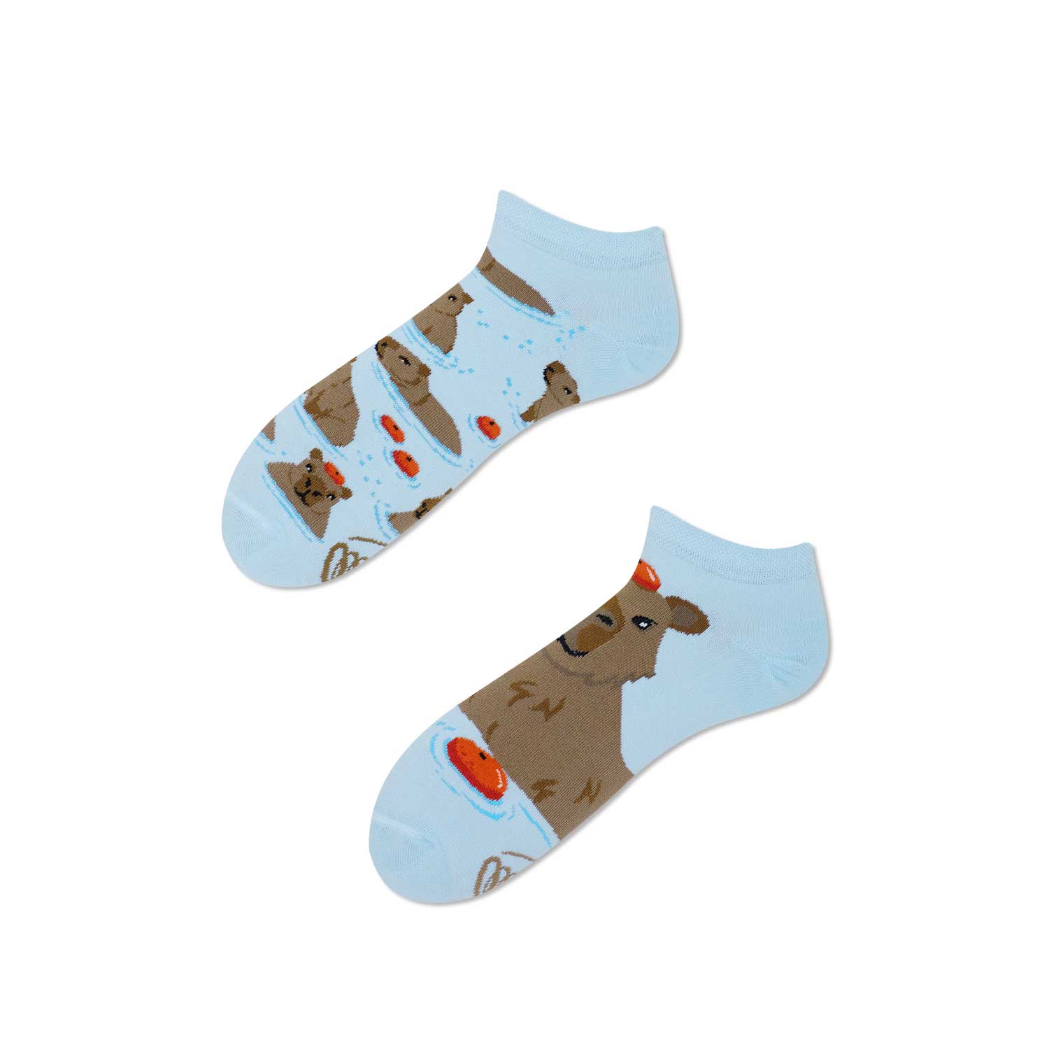 Capybara Low Adult Ankle Socks | Bookazine HK