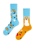 Playful Dog Adult Crew Socks | Bookazine HK