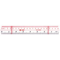 8 Inches Ruler | Bookazine HK