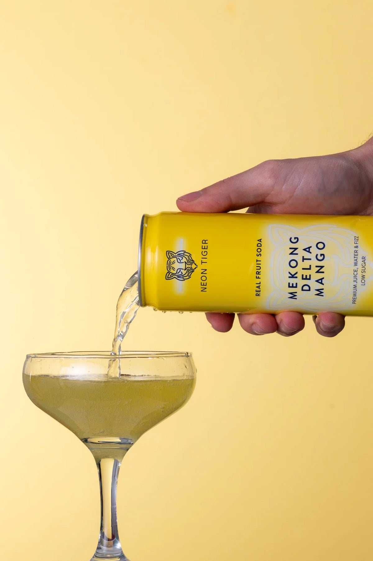 Mekong Delta Mango 330Ml
