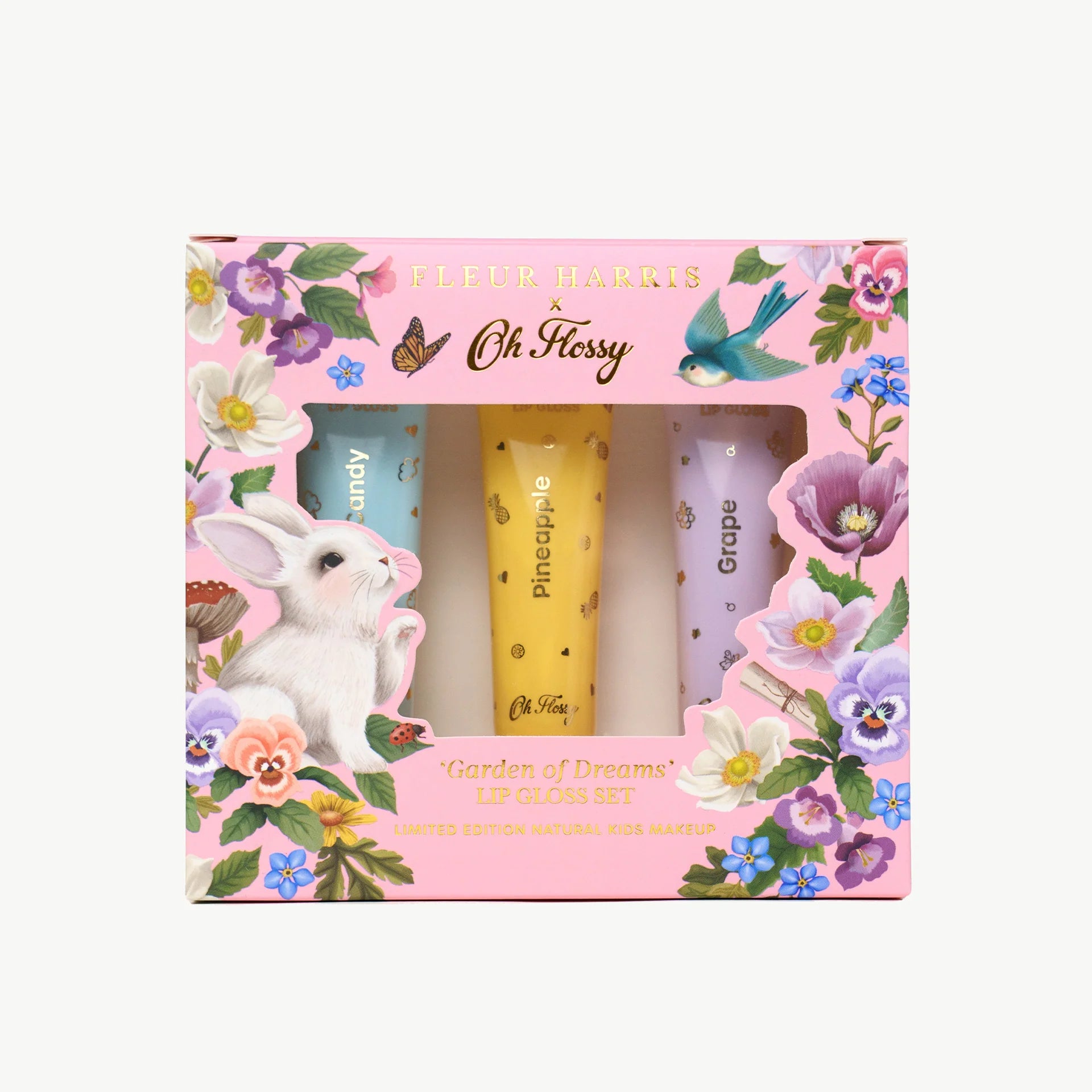 Garden of Dreams Collection Natural Lip Gloss Set