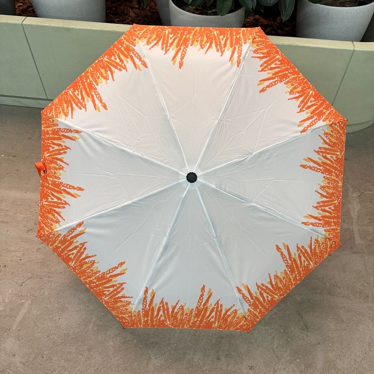 Paper Cup Umbrella | Bookazine HK