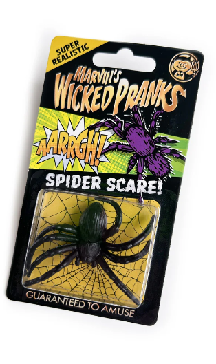 Wicked Pranks And Jokes - Spider Scare | Bookazine HK