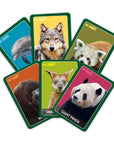 Top Trumps - Awesome Animals | Bookazine HK