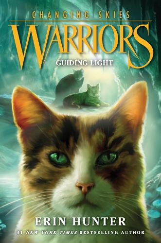 Warriors: Changing Skies 