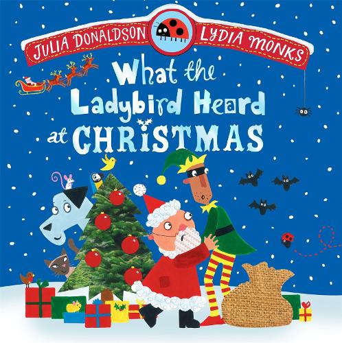 What the Ladybird Heard at Christmas: The Perfect Christmas Gift