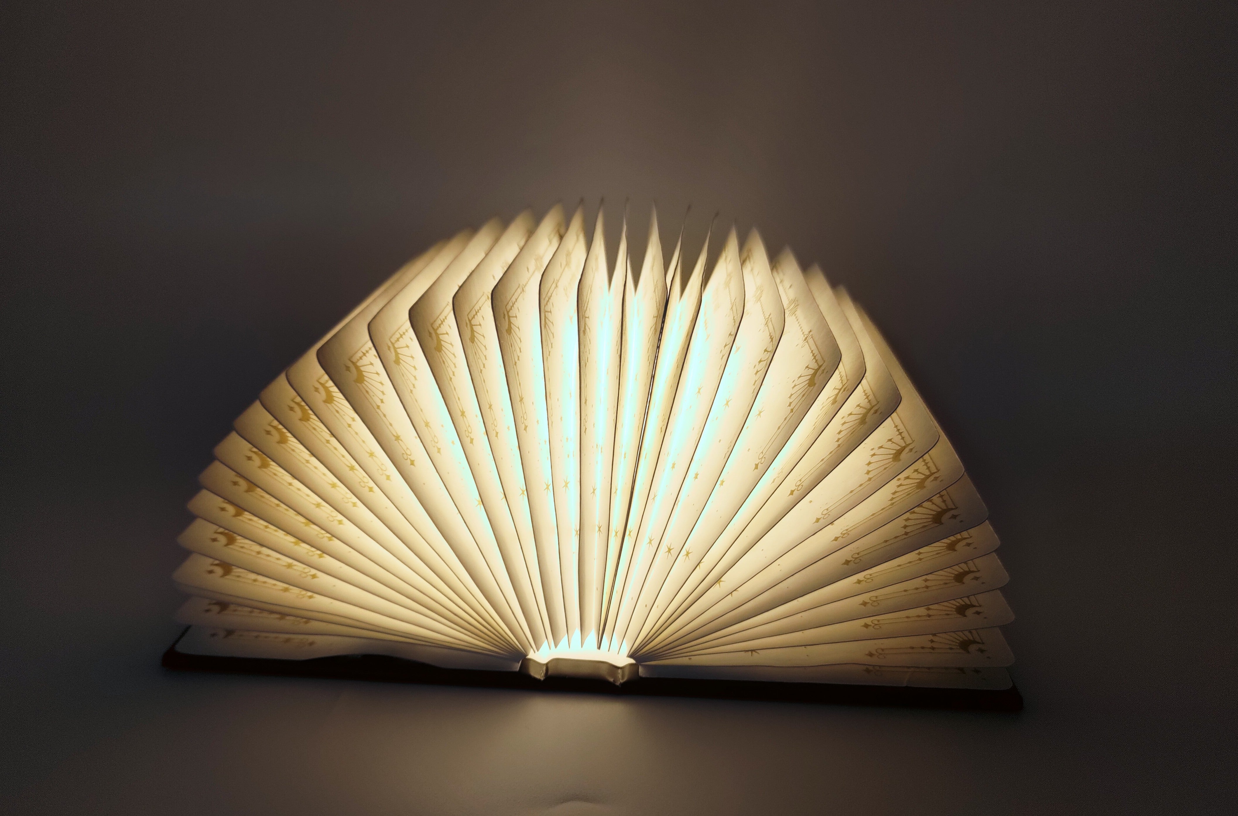 Gold Print Flower Book Lamp