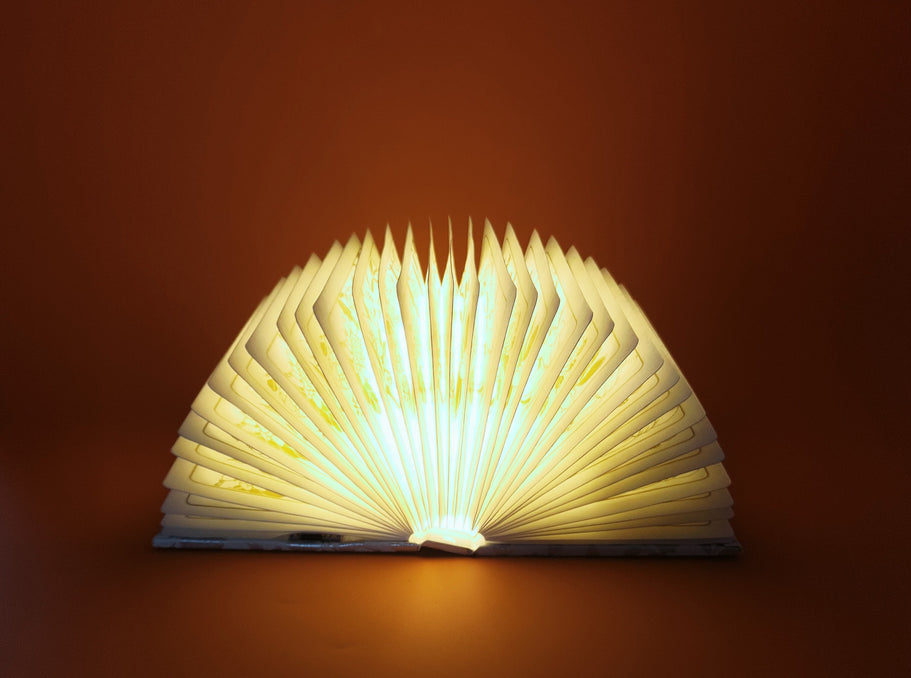 Silver Print Flower Book Lamp