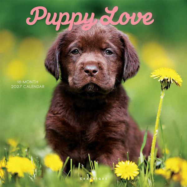Puppy Love Wall Calendar 2027