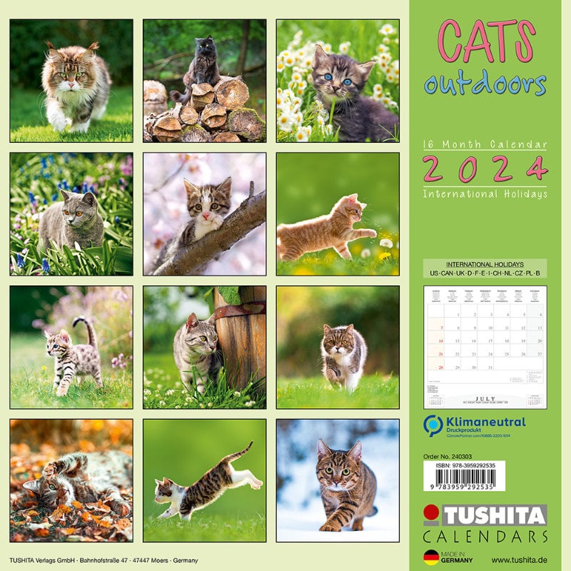 cats-outdoors-2024-wall-calendar