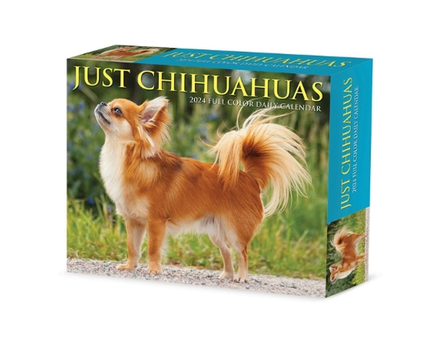Chihuahuas (box) | Bookazine HK