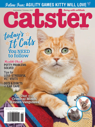 Catster- Bookazine HK
