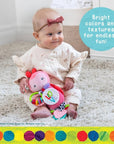 The Very Hungry Caterpillar Development Plush Ladybug