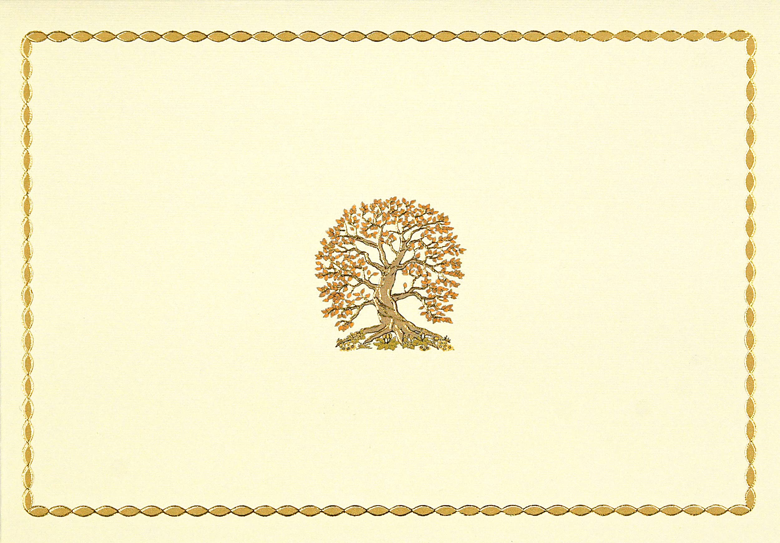 tree-of-life-note-cards