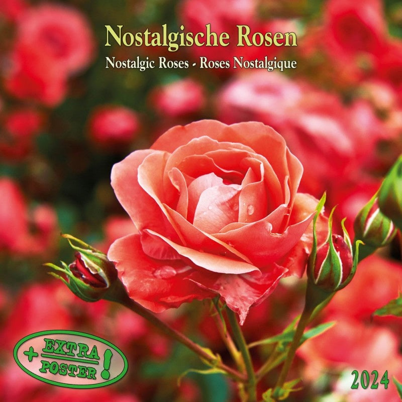 Nostalgic Roses 2024 Wall Calendar