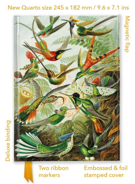 Ernst Haeckel: Hummingbirds Foiled Quarto Journal | Bookazine HK