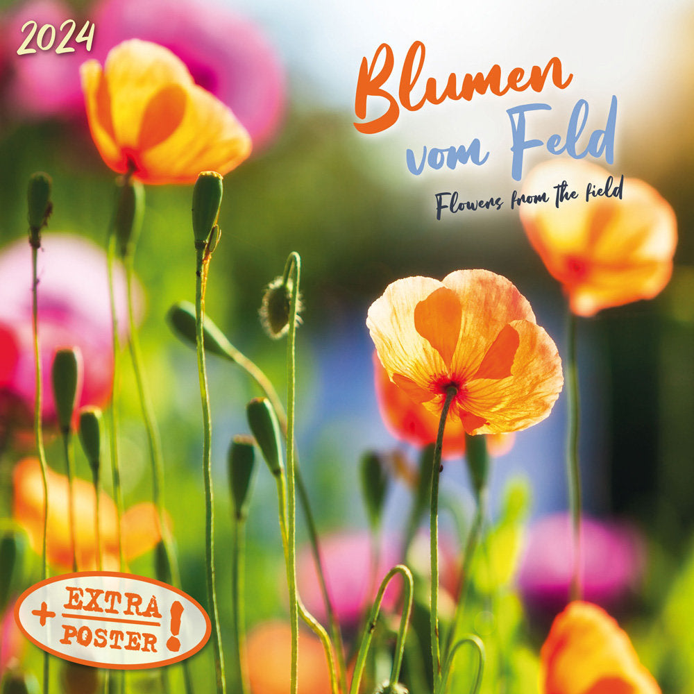 Flowers From The Fields 2024 Wall Calendar