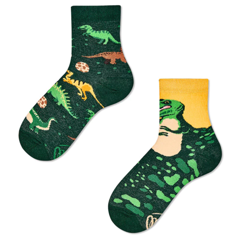 The Dinosaurs Kids Socks | Bookazine HK