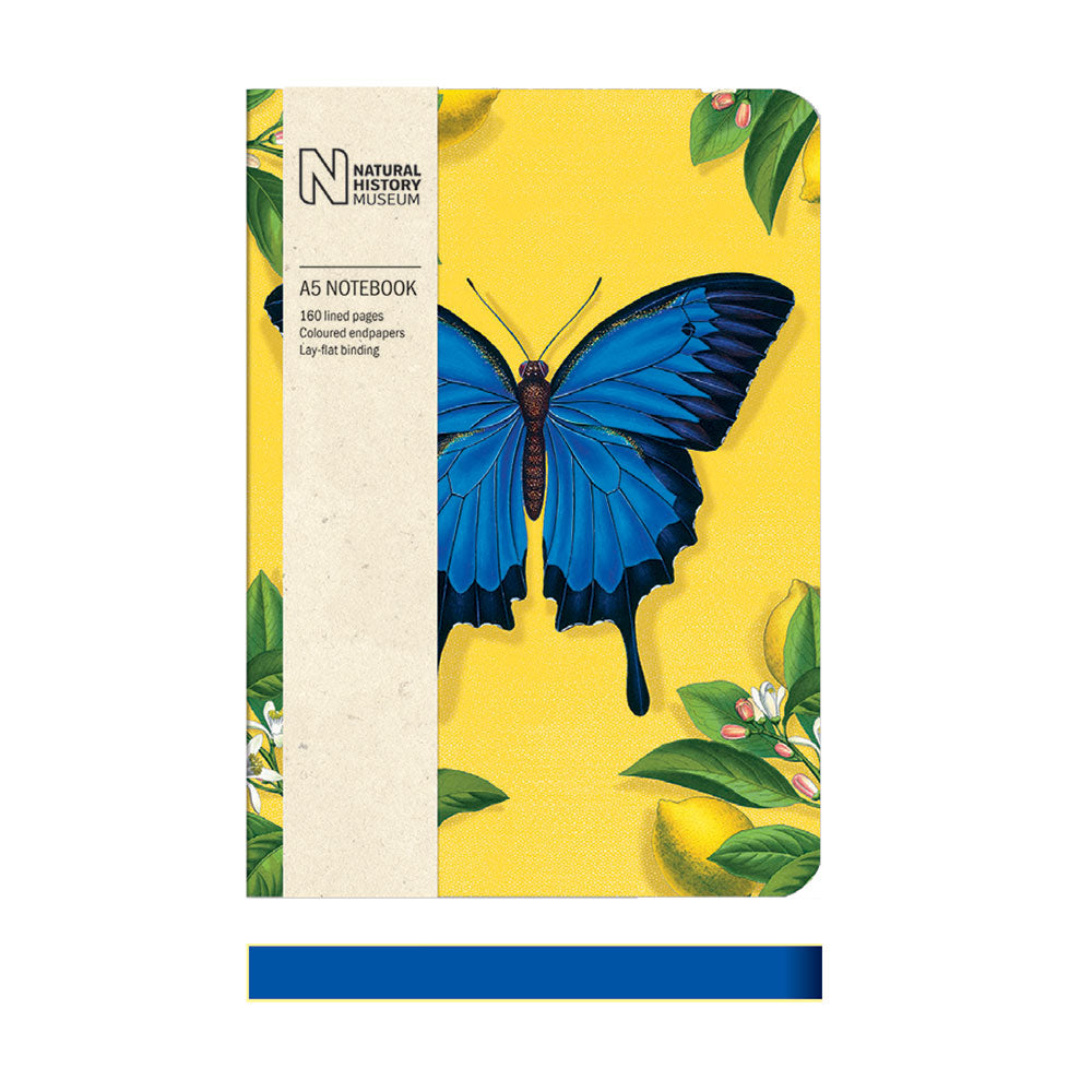 a5-notebooks-ulysses-butterfly